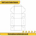 Self Lock Cake Boxes